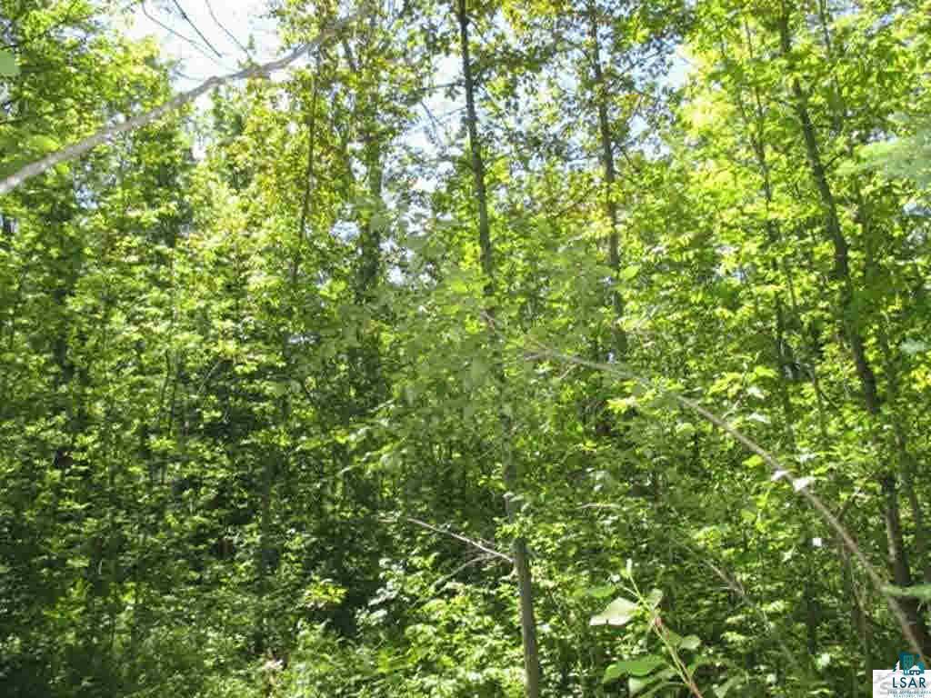 Compton Road Bayfield, WI 54814 - Photo 15 of 16 Gallery Image 15