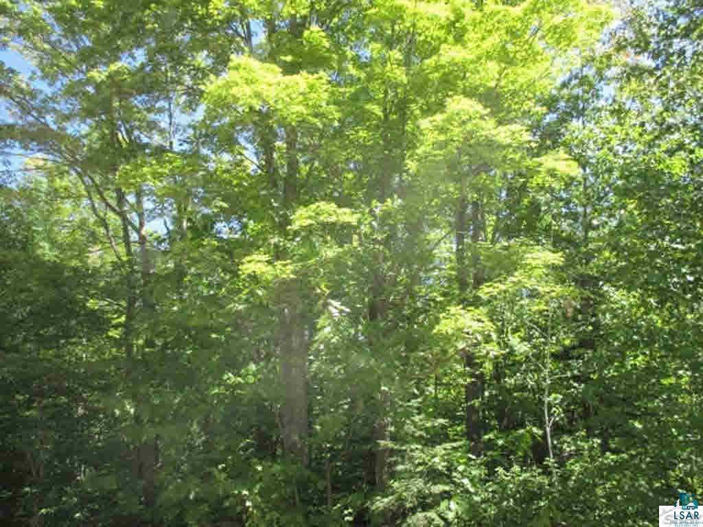 Compton Road Bayfield, WI 54814 - Photo 16 of 16 Gallery Image 16