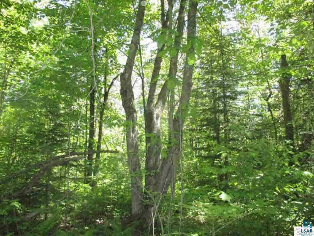 Compton Road Bayfield, WI 54814 - Photo 2 of 16 Gallery Image 2