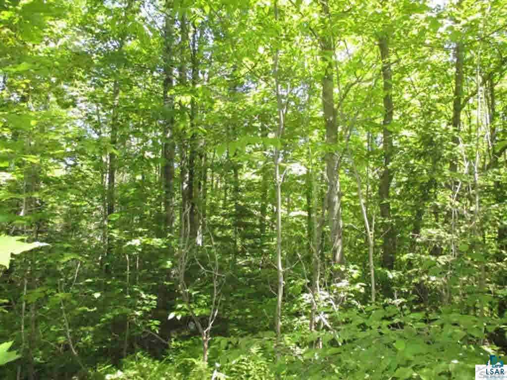 Compton Road Bayfield, WI 54814 - Photo 3 of 16 Gallery Image 3