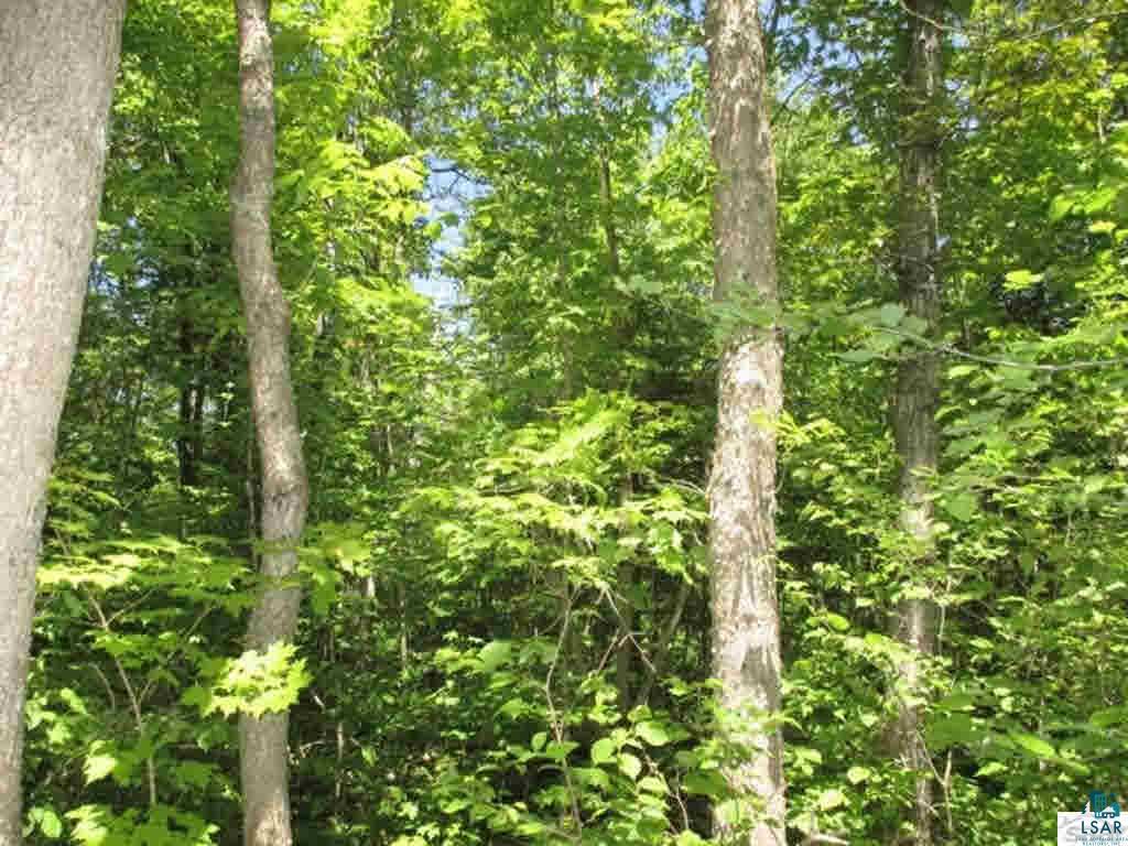 Compton Road Bayfield, WI 54814 - Photo 4 of 16 Gallery Image 4