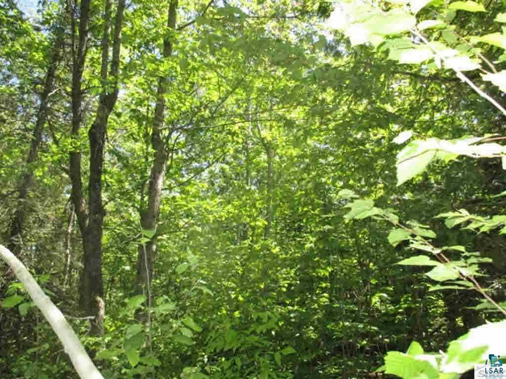 Compton Road Bayfield, WI 54814 - Photo 5 of 16 Gallery Image 5
