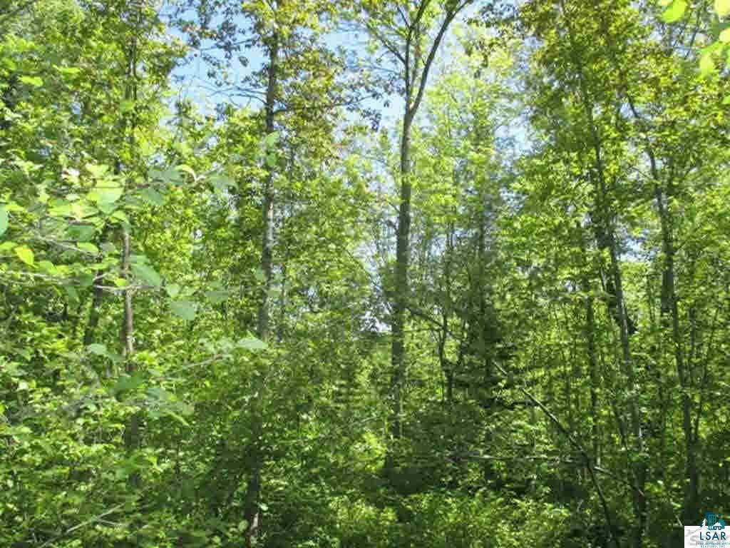 Compton Road Bayfield, WI 54814 - Photo 6 of 16 Gallery Image 6