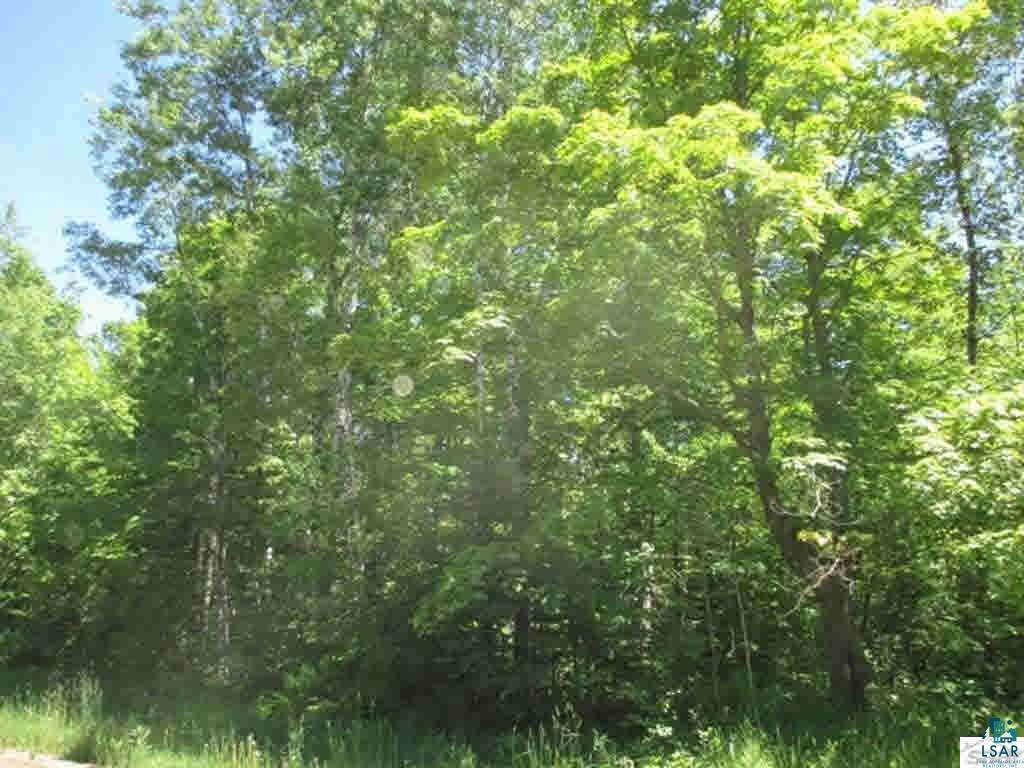 Compton Road Bayfield, WI 54814 - Photo 8 of 16 Gallery Image 8