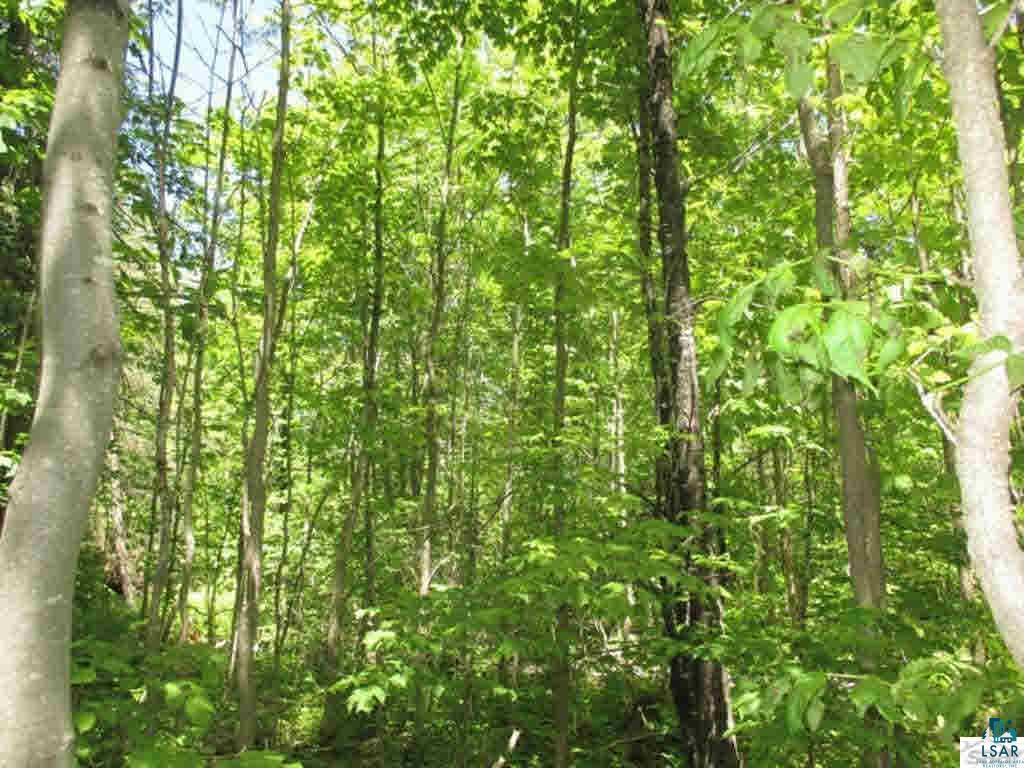 Compton Road Bayfield, WI 54814 - Photo 9 of 16 Gallery Image 9