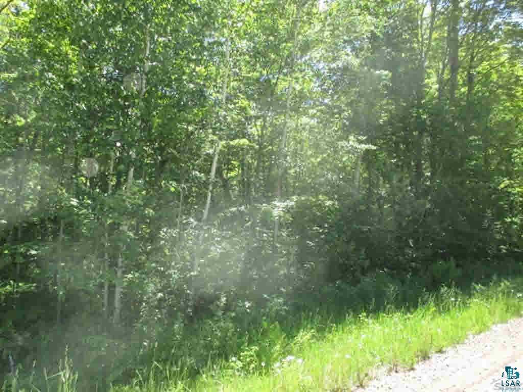 Compton Road Bayfield, WI 54814 - Photo 10 of 16 Gallery Image 10