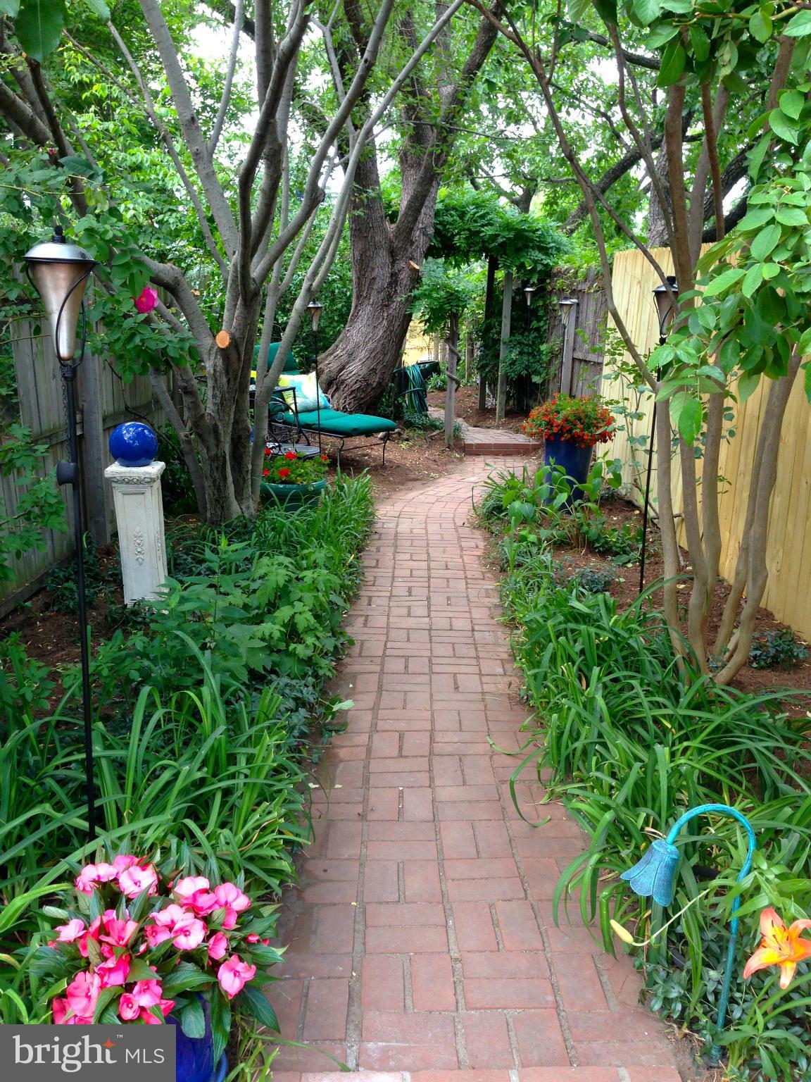 1330 E Street Southeast Washington, DC 20003 - Photo 19 of 27 Deep Garden