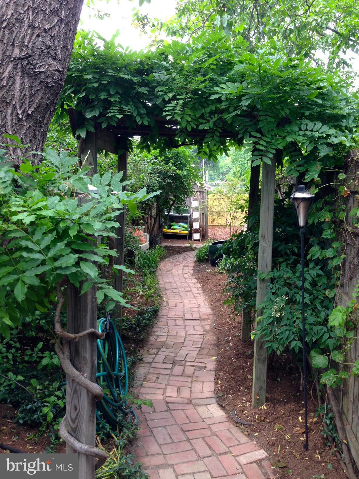 1330 E Street Southeast Washington, DC 20003 - Photo 20 of 27 Exterior (Rear)