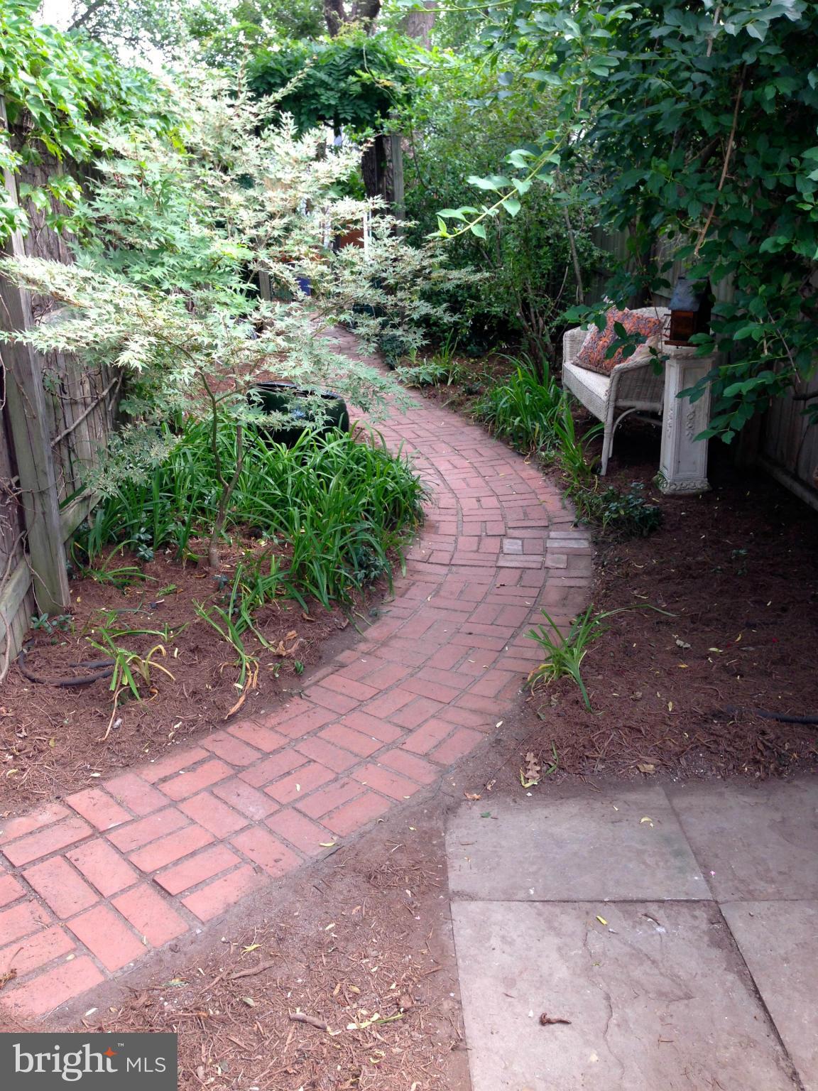 1330 E Street Southeast Washington, DC 20003 - Photo 23 of 27 Garden