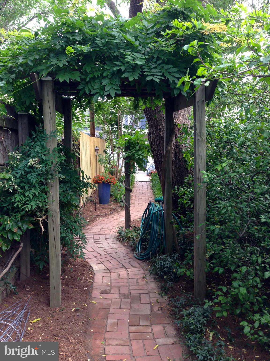 1330 E Street Southeast Washington, DC 20003 - Photo 24 of 27 Exterior (Rear)