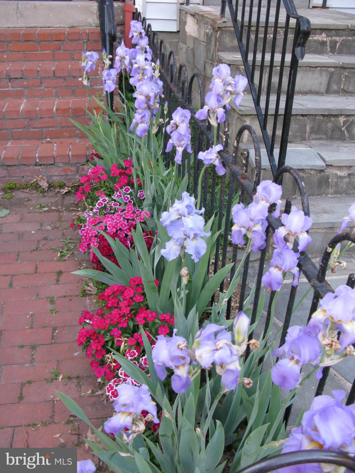 1330 E Street Southeast Washington, DC 20003 - Photo 27 of 27 Exterior (Front)