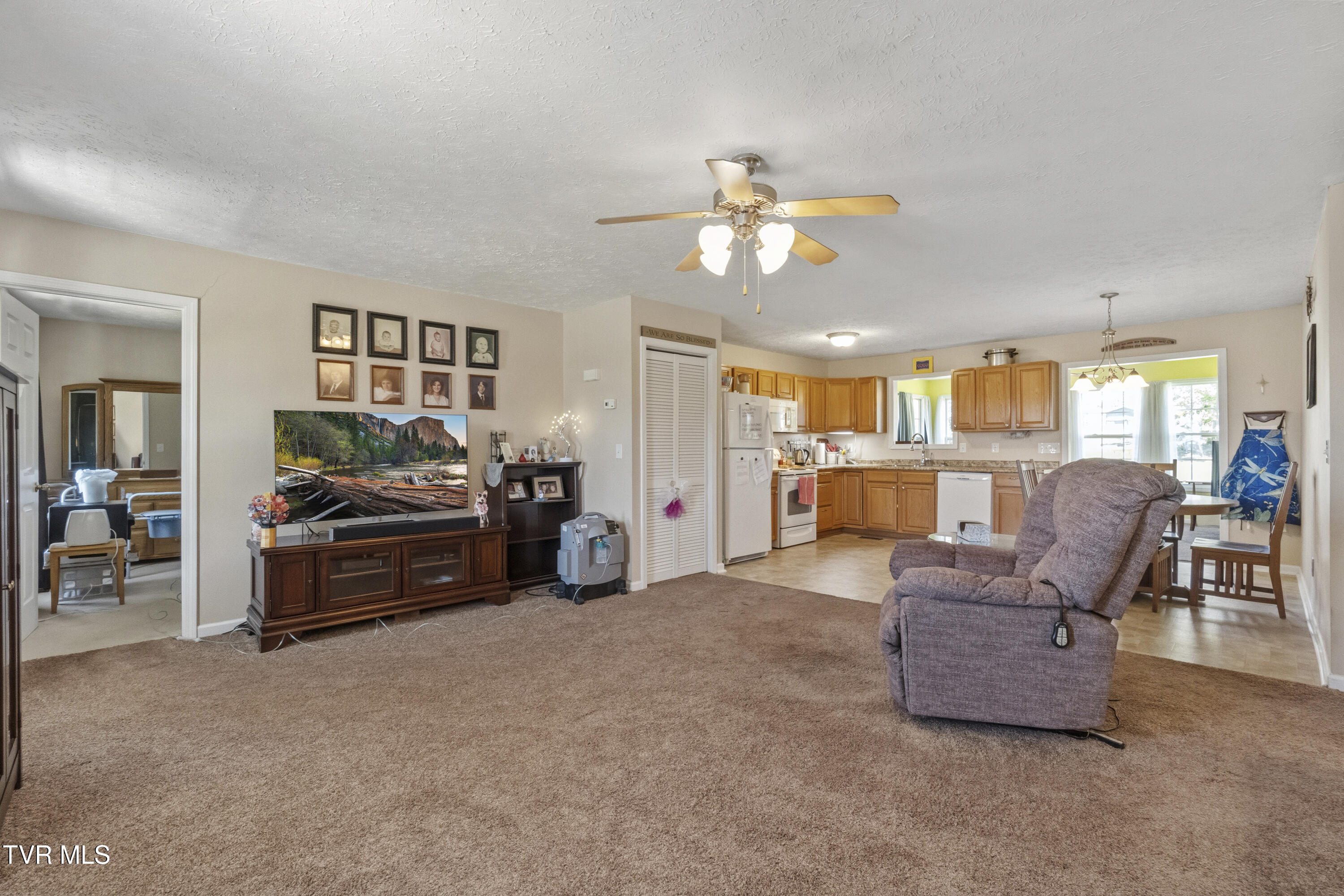 58 Fairview Ridges Drive Afton, TN 37616 - Photo 9 of 50 DSC03268