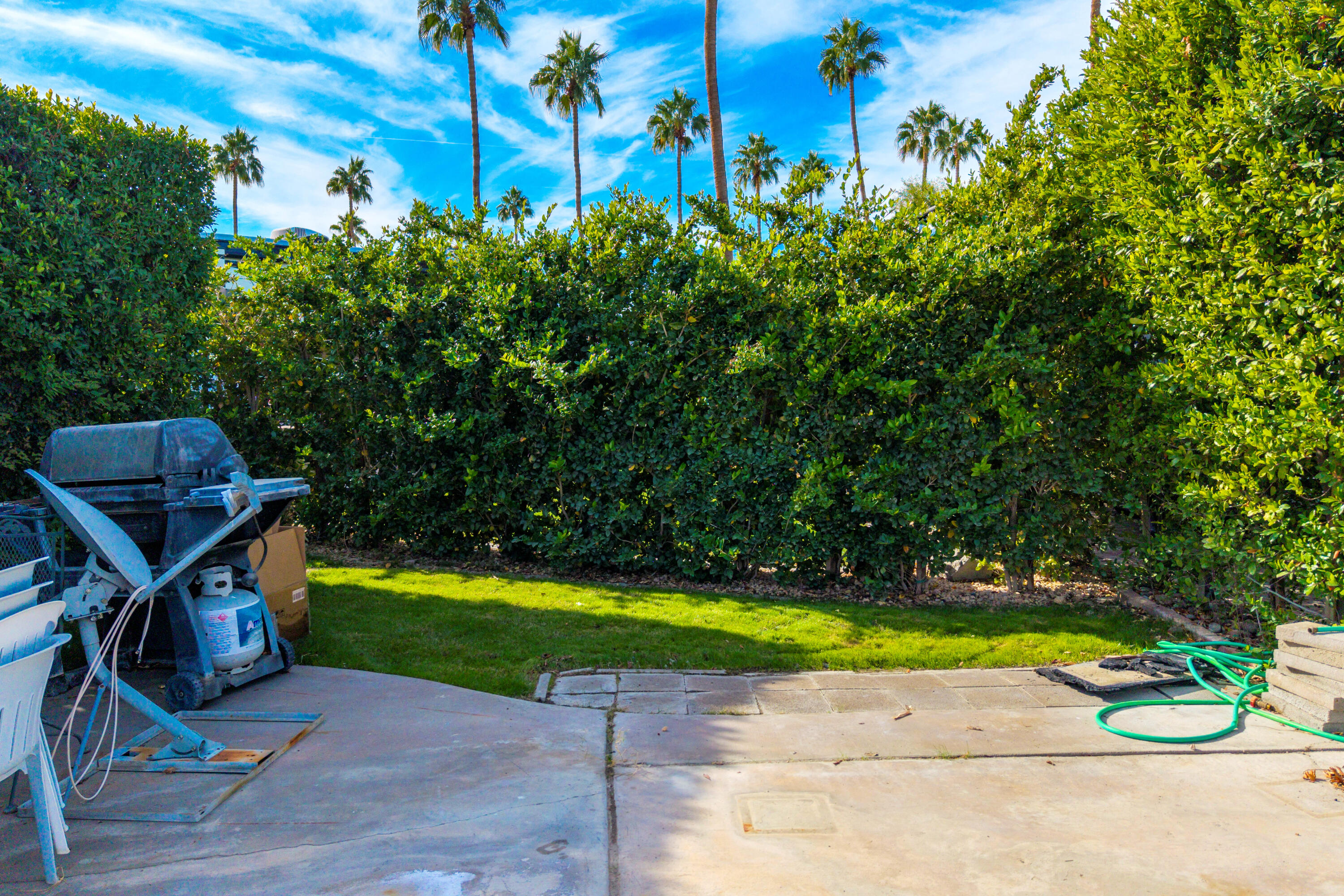 69411 Ramon Road, Unit 304 Cathedral City, CA 92234 - Photo 14 of 55 a view of a backyard with plants and a bench