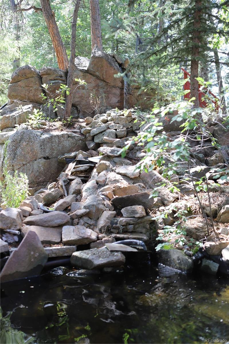 21994 North Turkey Creek Road Morrison, CO 80465 - Photo 13 of 36