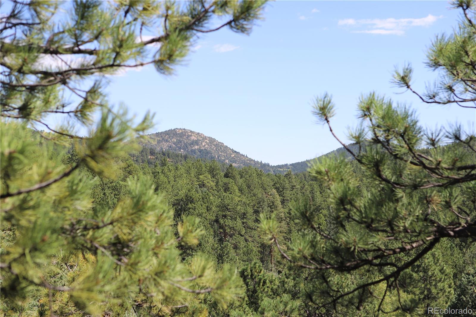 21994 North Turkey Creek Road Morrison, CO 80465 - Photo 15 of 36