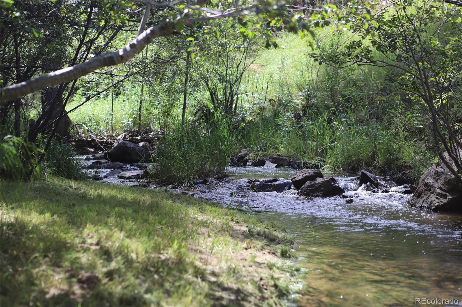21994 North Turkey Creek Road Morrison, CO 80465 - Photo 6 of 36