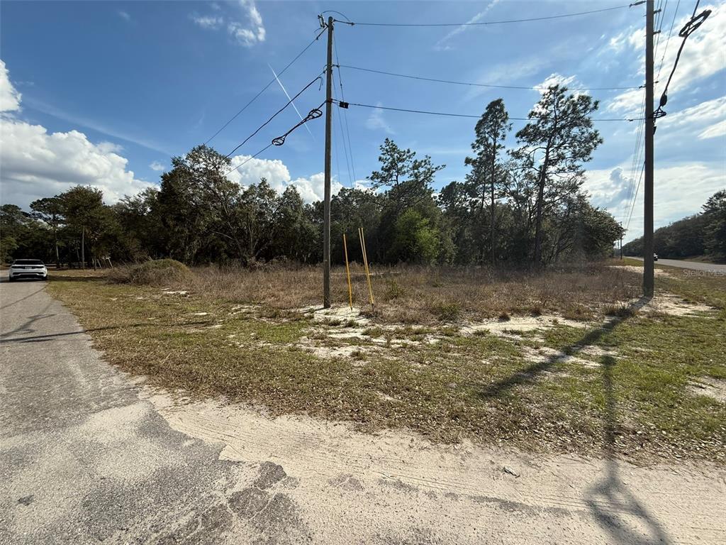 11745 Orange Road Ocklawaha, FL 32179 - Photo 2 of 2