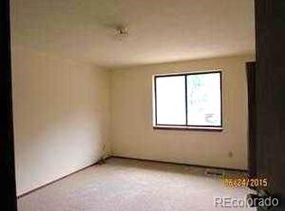 3316 Riverside Drive Idaho Springs, CO 80452 - Photo 3 of 8 Gallery Image 3