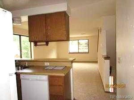 3316 Riverside Drive Idaho Springs, CO 80452 - Photo 5 of 8 Gallery Image 5