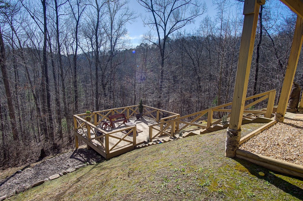 870 Bolster Lane Northeast Ranger, GA 30734 - Photo 58 of 74