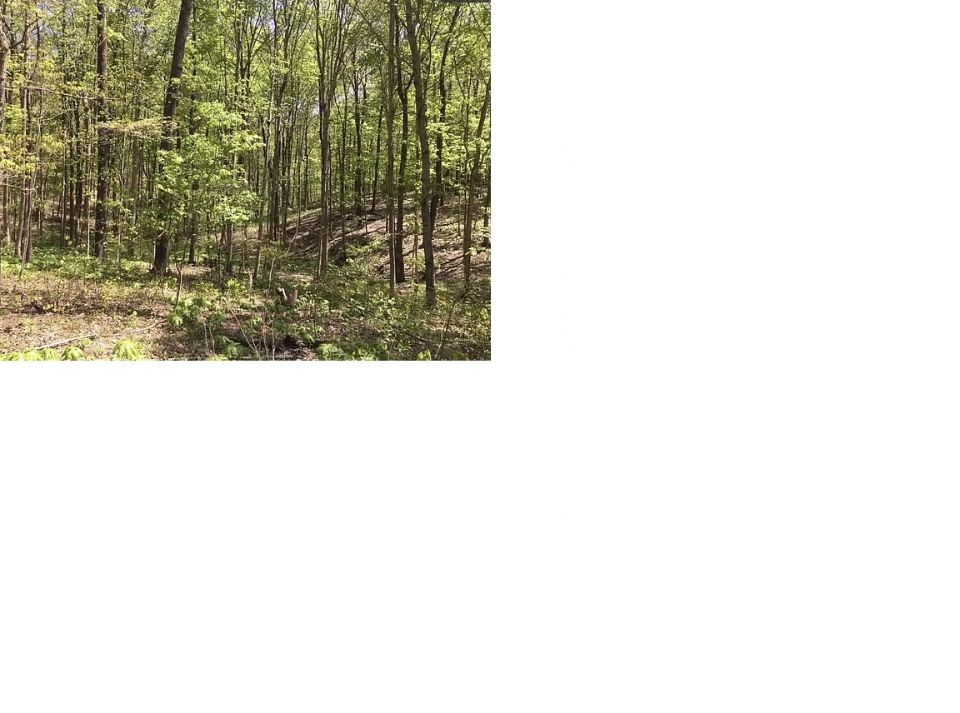 568 West George Durham Road Westmoreland, TN 37186 - Photo 3 of 4 Gallery Image 3