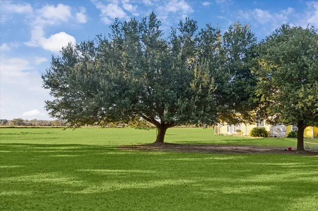 $1,100,000 | 32410 Phlying Road, Waller, TX 77484