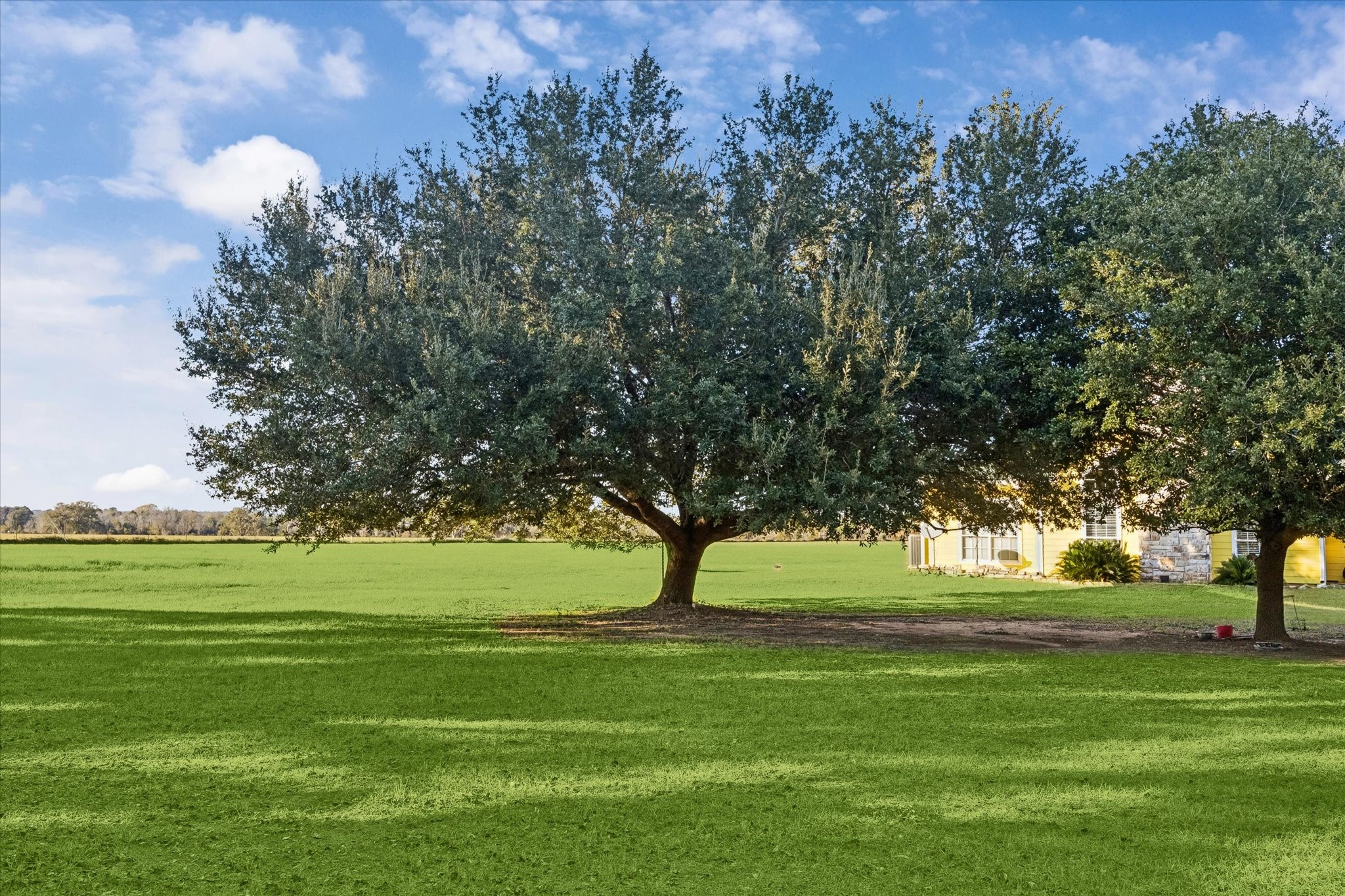 32410 Phlying Road Waller, TX 77484 - Photo 22 of 26