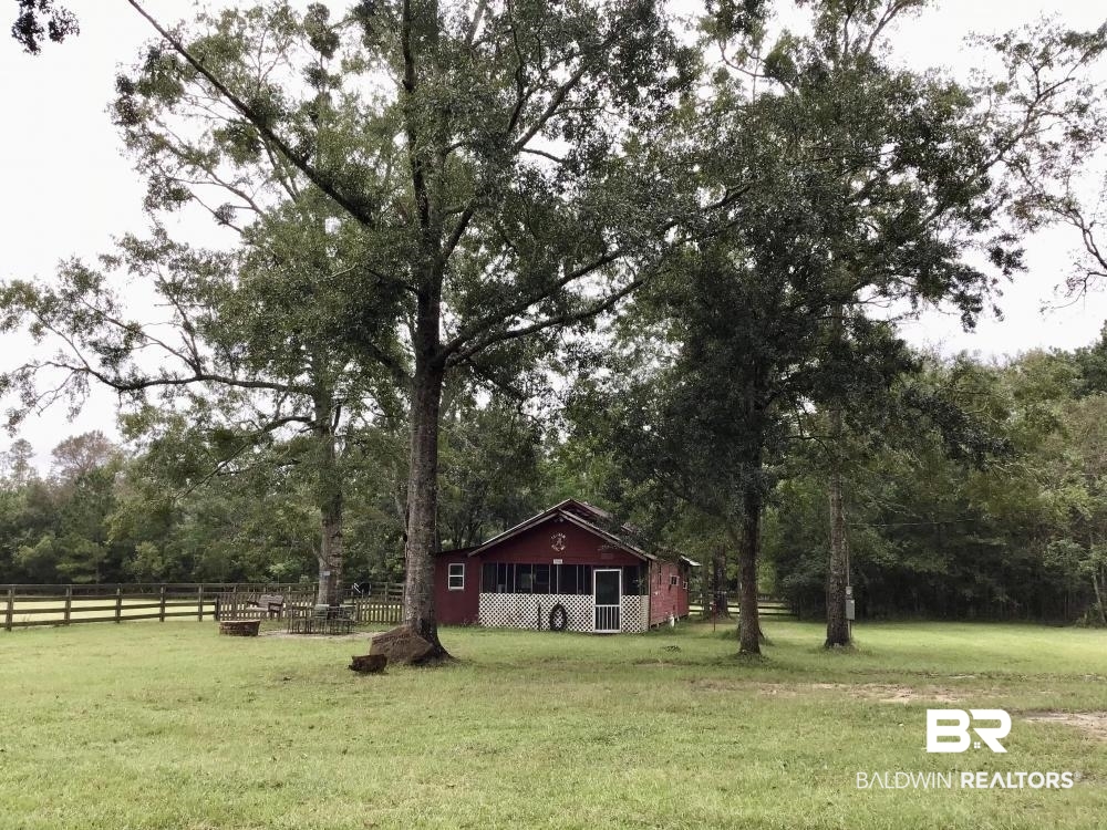0 Country Road Axis, AL 36505 - Photo 9 of 42