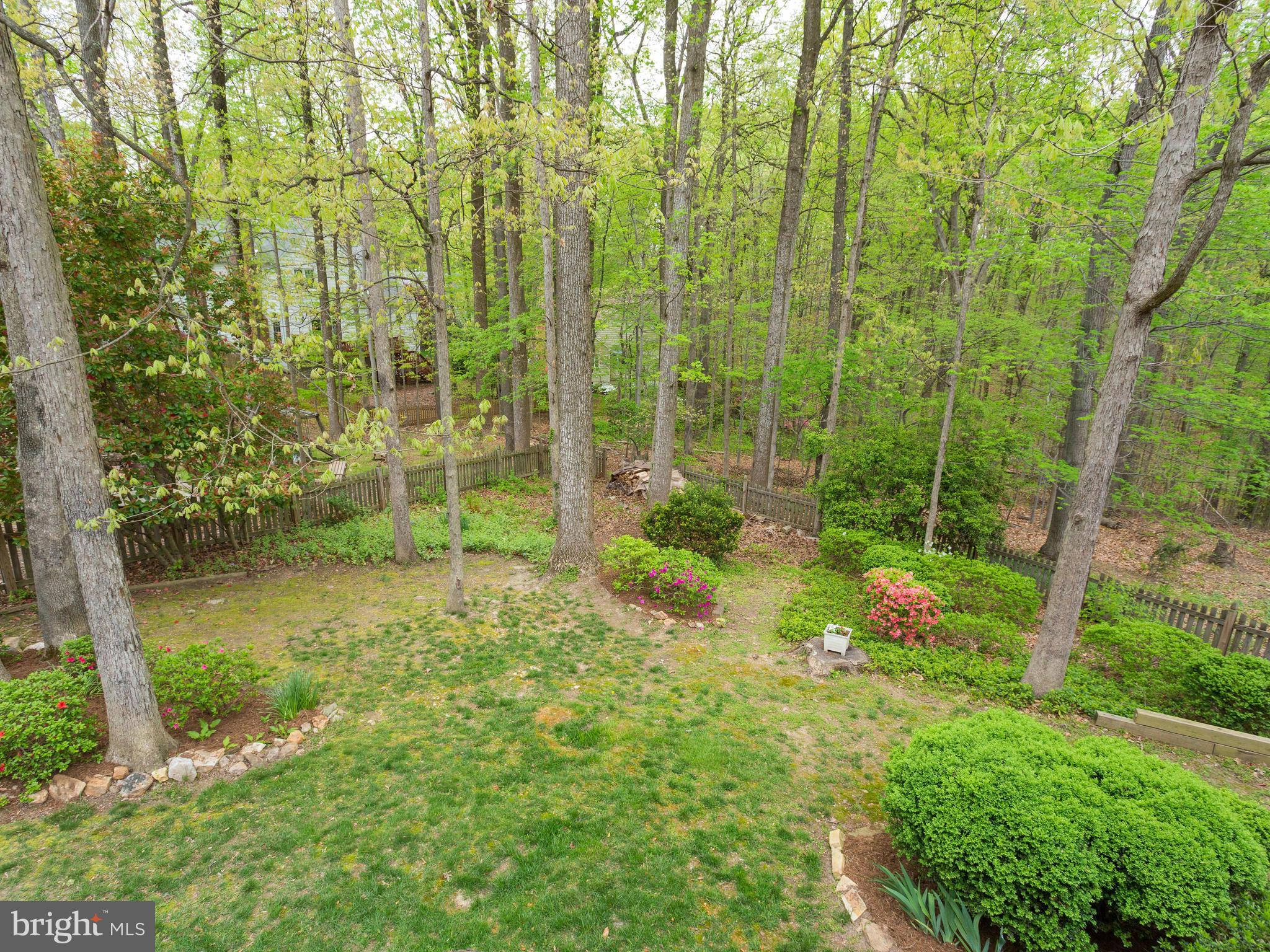 6803 Bluecurl Circle Springfield, VA 22152 - Photo 28 of 30 Exterior (Rear)
