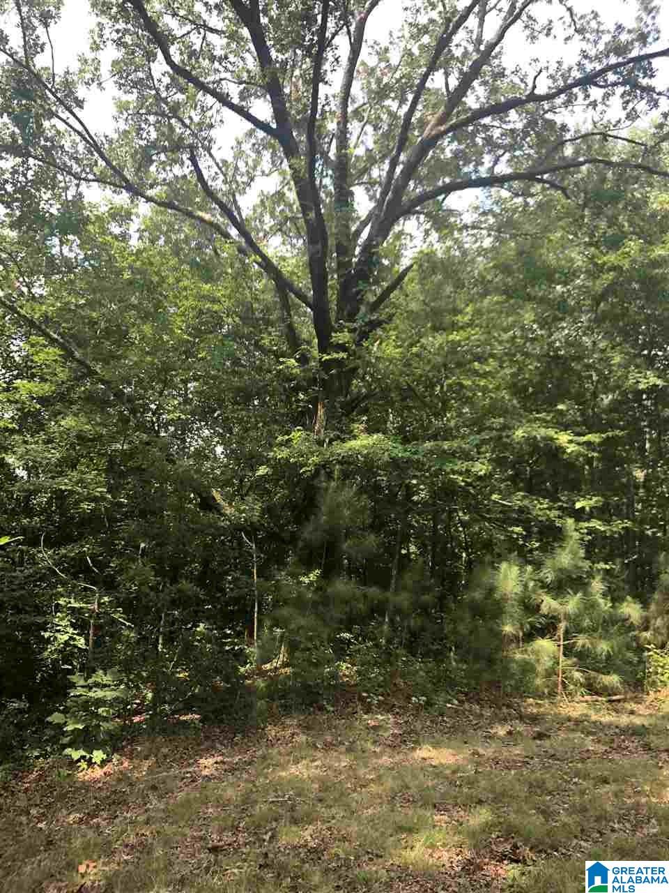 8346 Cedar Mountain Road, Unit 5 & 6 Pinson, AL 35126 - Photo 2 of 31