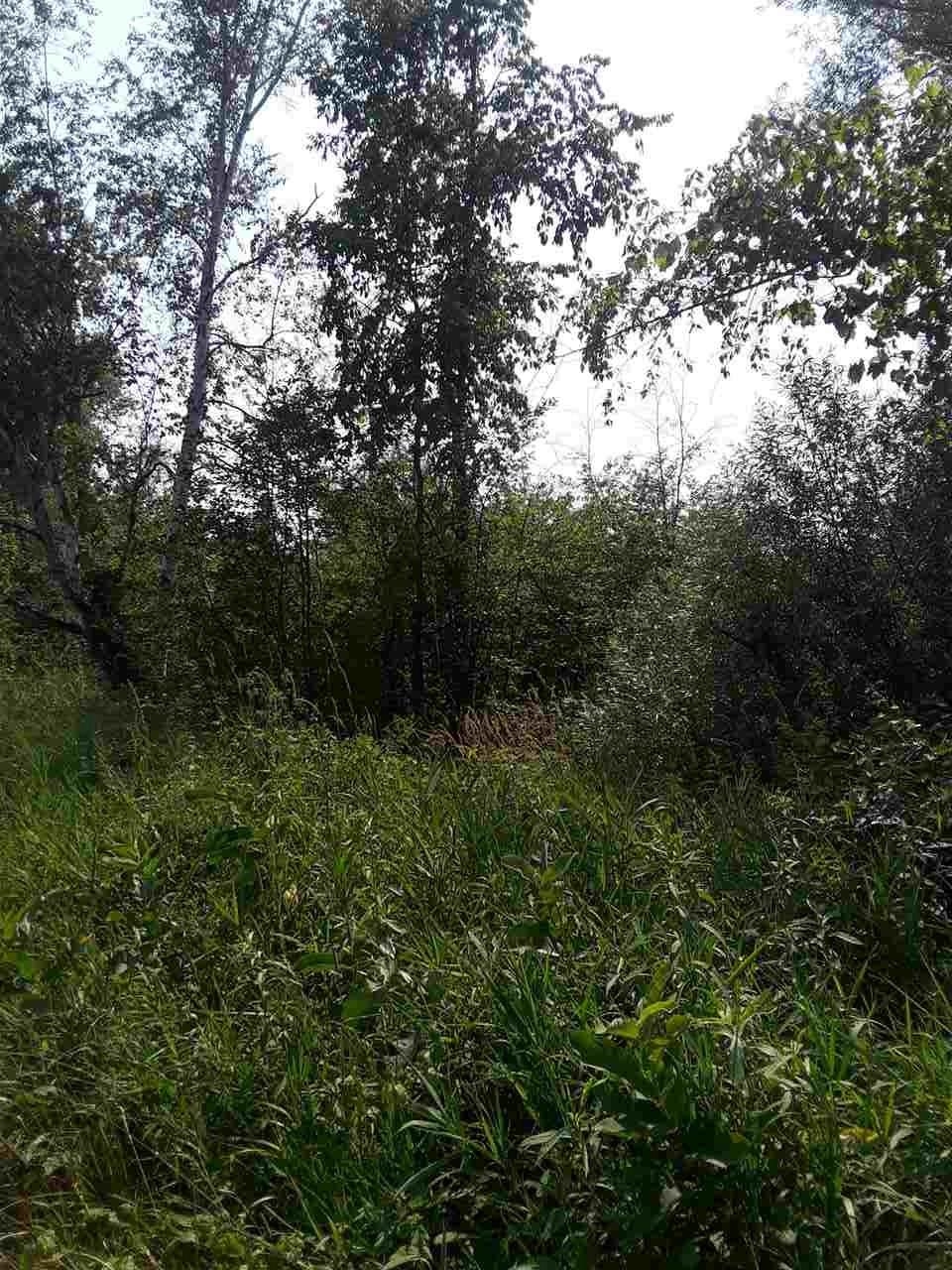 0 Lentner Road Omer, MI 48749 - Photo 1 of 3