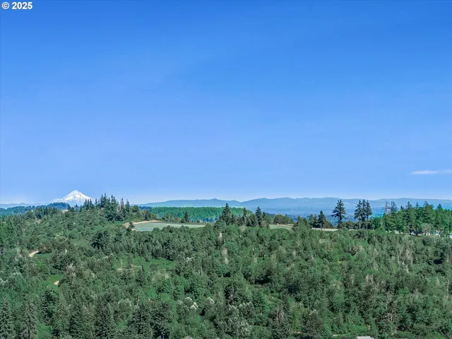 a view of a green field