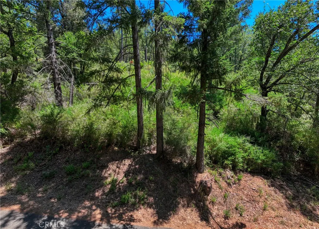 12548 Observation Road Middletown, CA 95461 - Photo 13 of 19