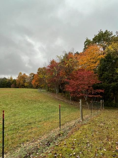 830 Sallie Vanhook Road Somerset, KY 42501 - Photo 42 of 117 IMG_3369