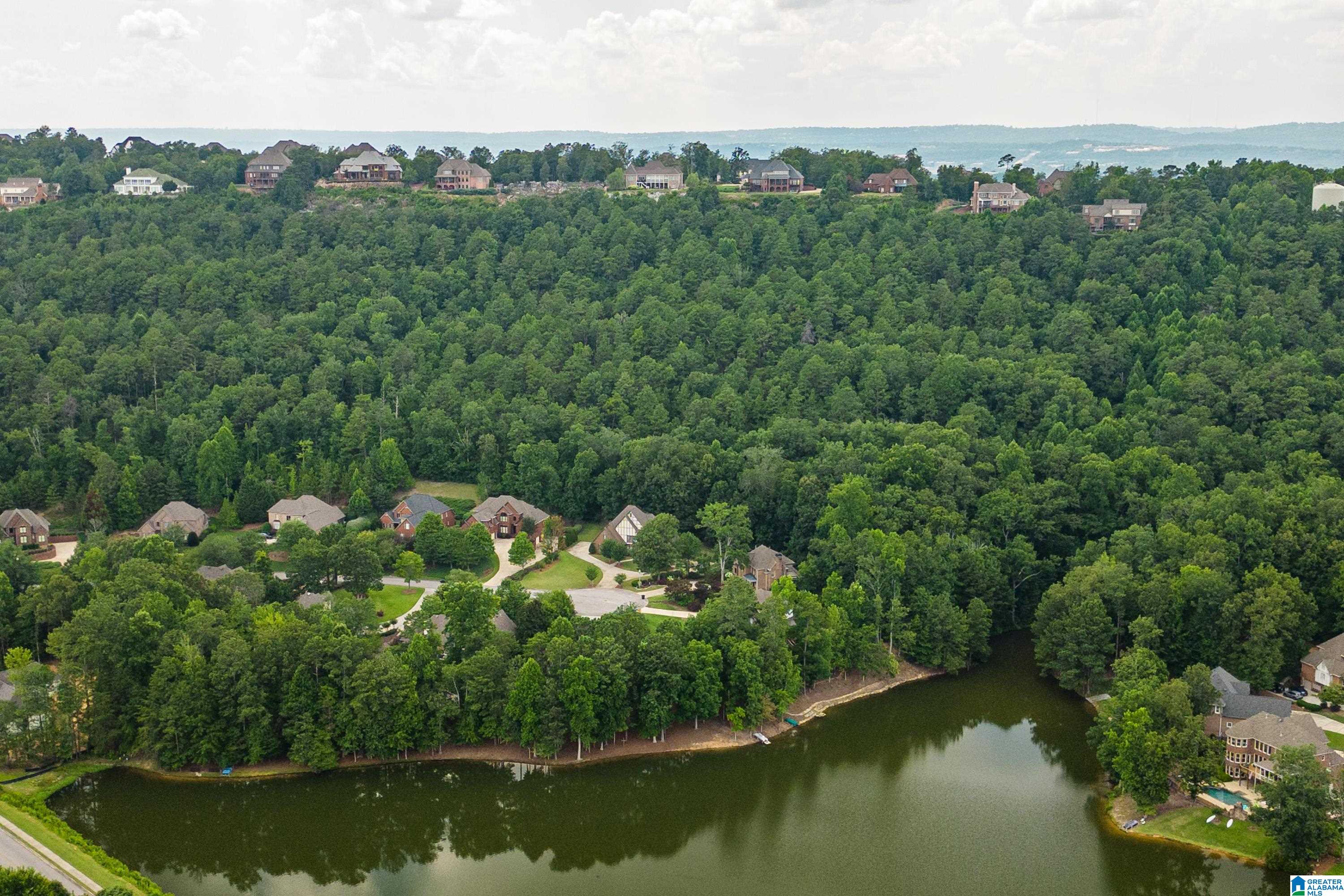1041 Watersedge Circle Birmingham, AL 35242 - Photo 59 of 63