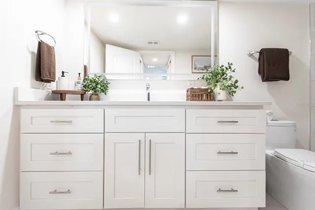 a bathroom with a potted plant on the counter and a sink