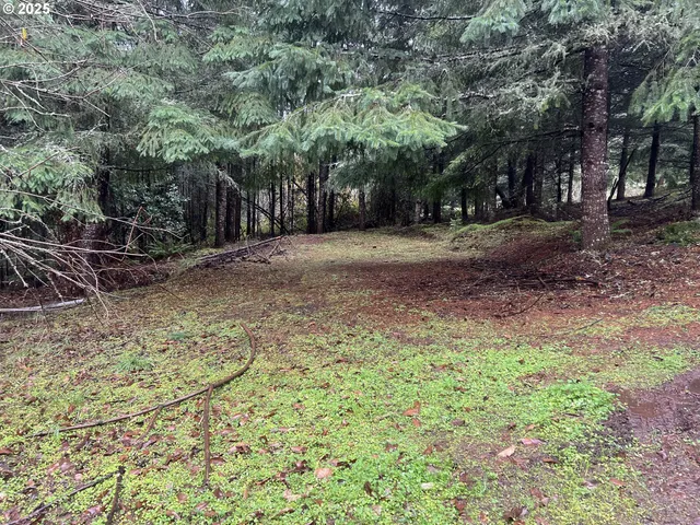 a view of outdoor space with trees all around