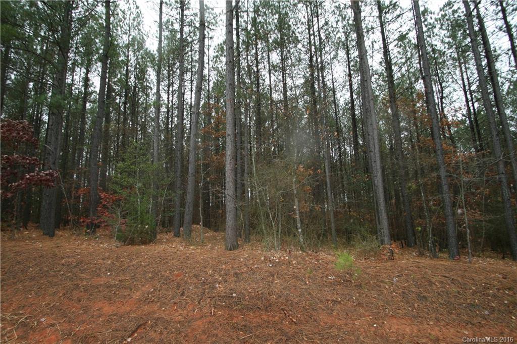 Lot#608 Silver Falls Road Troutman, NC 28166 - Photo 6 of 7 a view of outdoor space with lots of trees