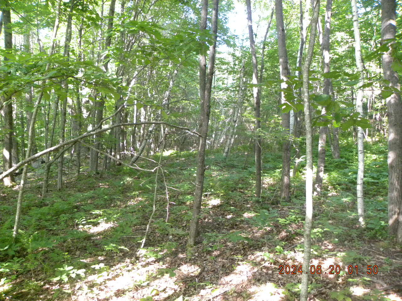 Tbd Gore Road Alfred, ME 04002 - Photo 3 of 33 DSCN9149
