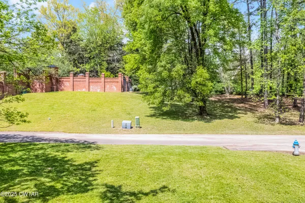 a view of a park with large trees