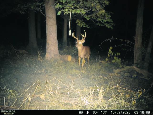 0 Lycurgus Road Waukon, IA 52172 - Photo 16 of 24 Gallery Image 16