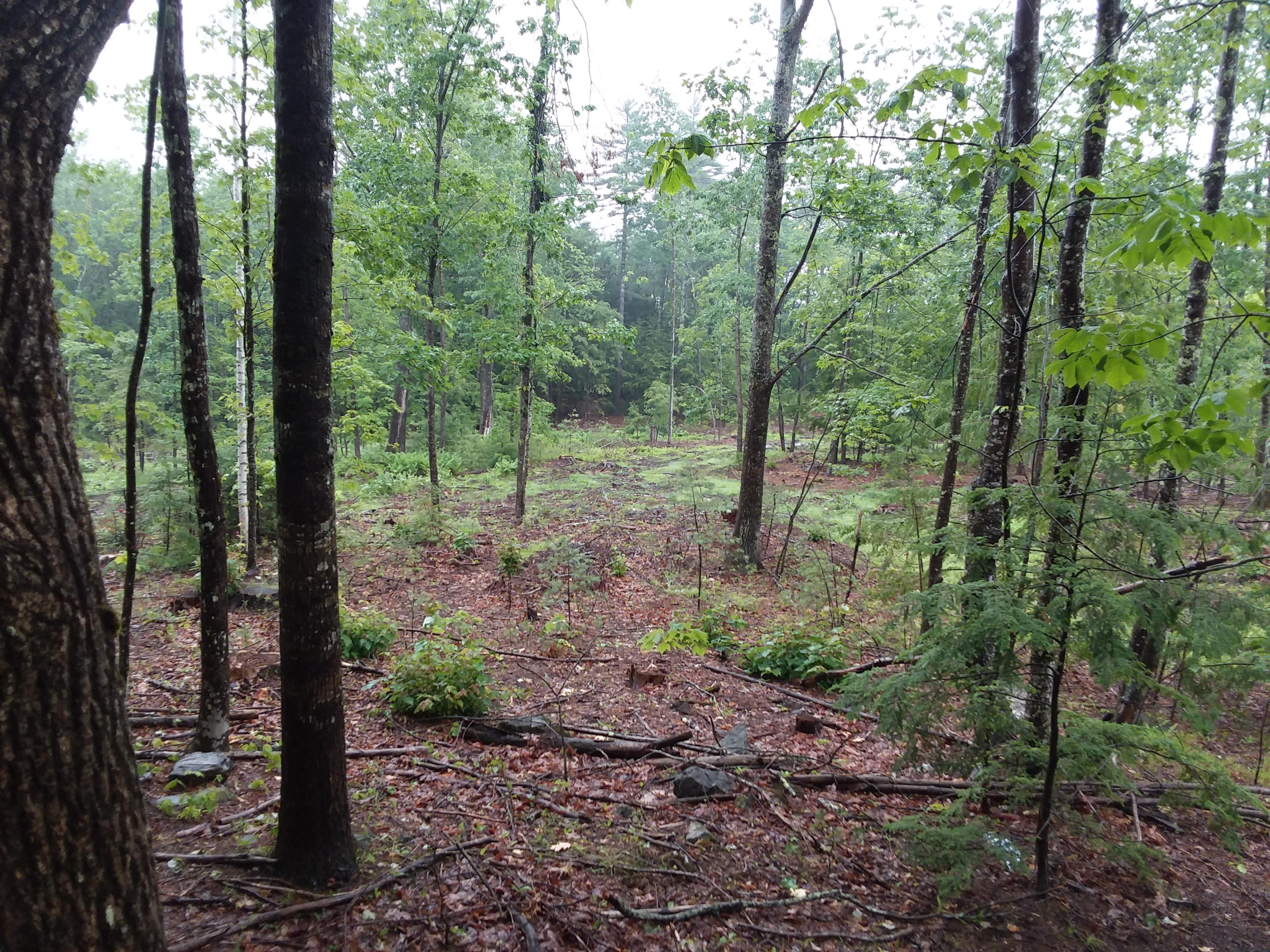 150 Milt Brown Road Standish, ME 04084 - Photo 2 of 4 150 Milt Brown Road 3
