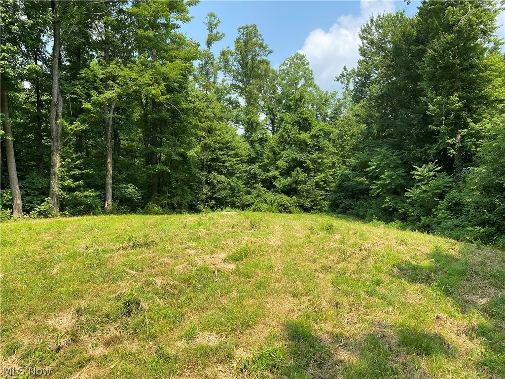 9401 Bell Run Road Adamsville, OH 43802 - Photo 15 of 27 Gallery Image 15
