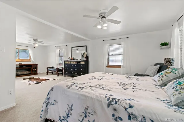 a bedroom with a bed and dresser