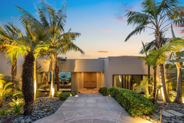 a view of a potted plants with palm trees
