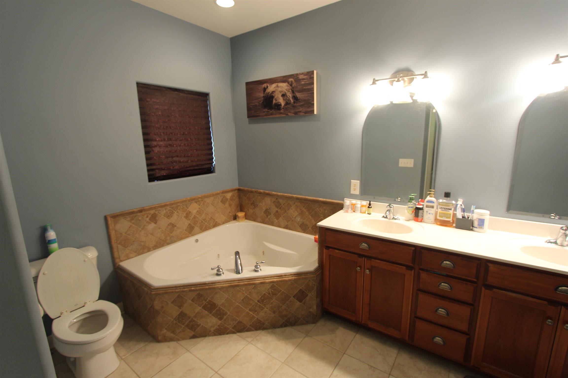 3844 Big Springs Road Lebanon, TN 37090 - Photo 9 of 19 His & hers vanity & Jacuzzi tub