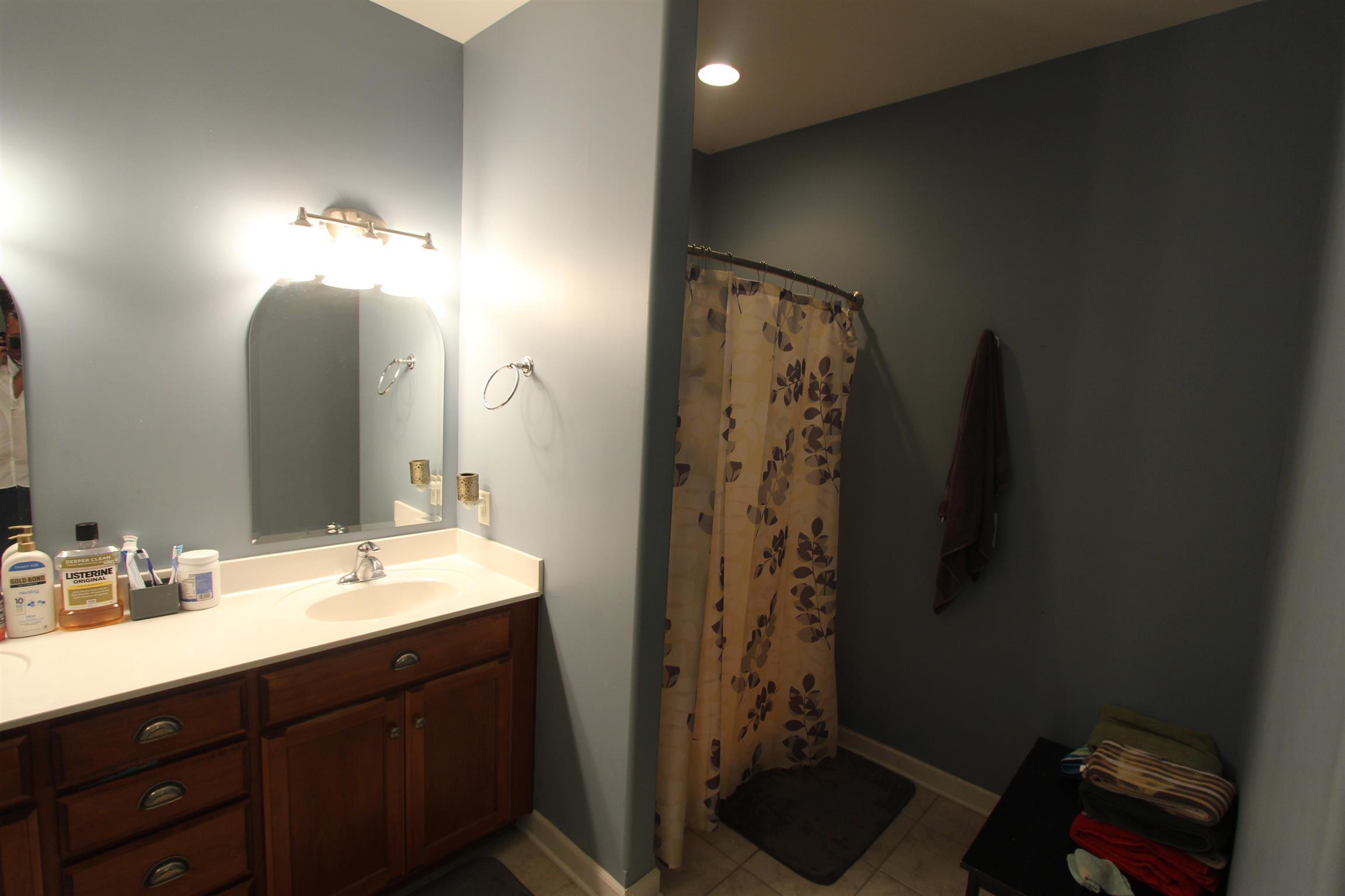 3844 Big Springs Road Lebanon, TN 37090 - Photo 10 of 19 Separate shower