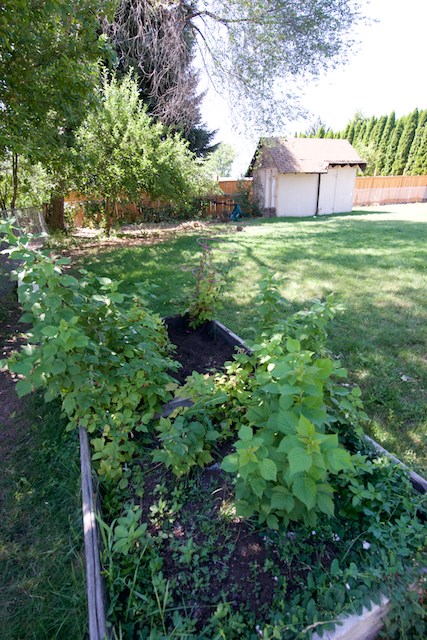 1219 North Rees Lane Spokane Valley, WA 99216 - Photo 14 of 17 Gallery Image 14