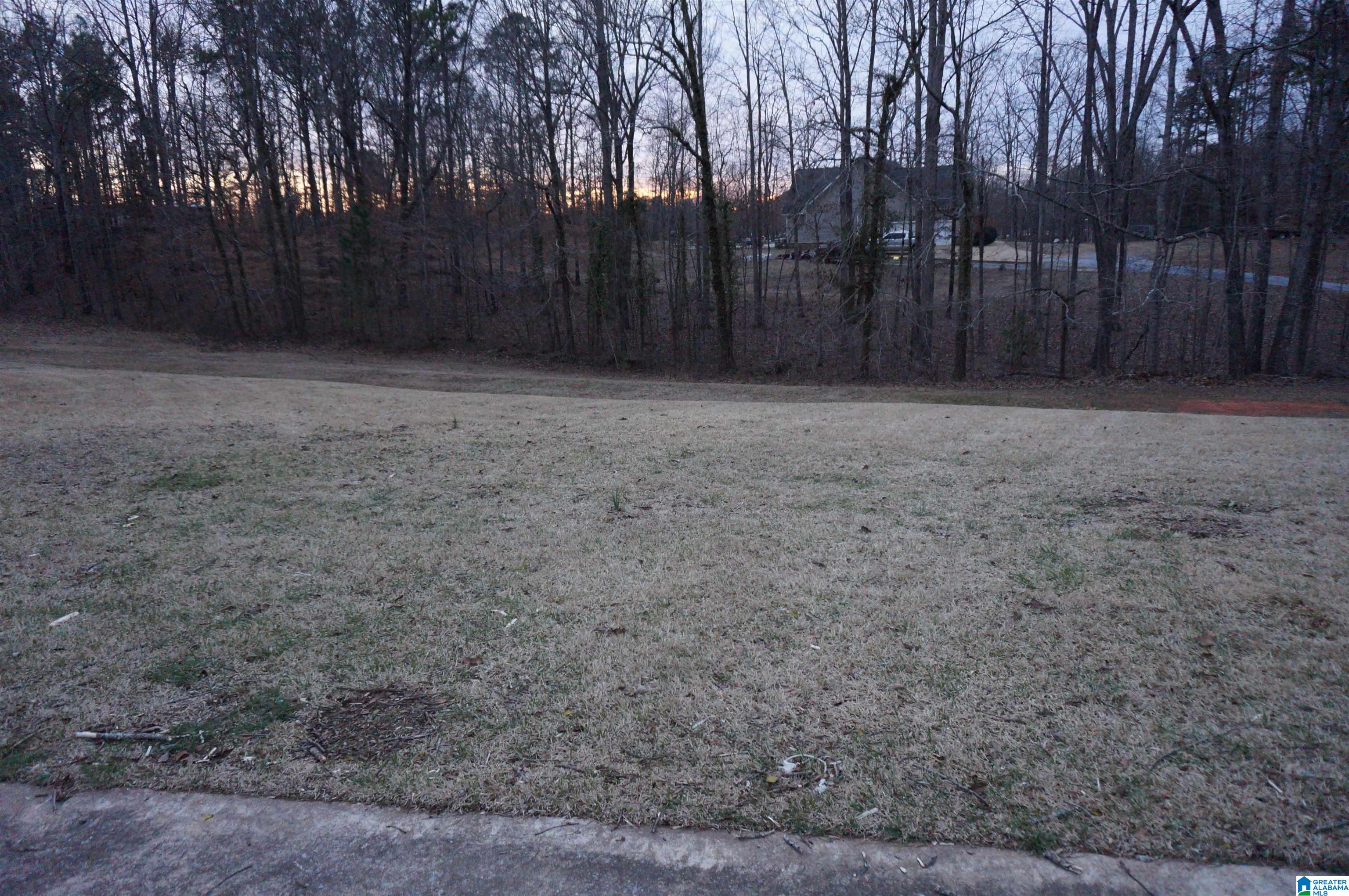 95 New County Line Road Sylacauga, AL 35151 - Photo 9 of 28