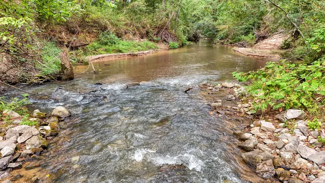 a view of a lake with a tree